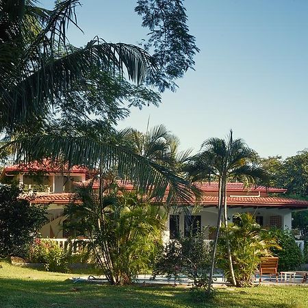 Las Cabinas De Veronique Venado Dış mekan fotoğraf