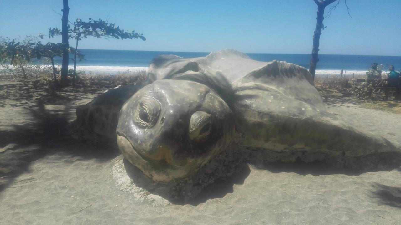 Las Cabinas De Veronique Venado Dış mekan fotoğraf
